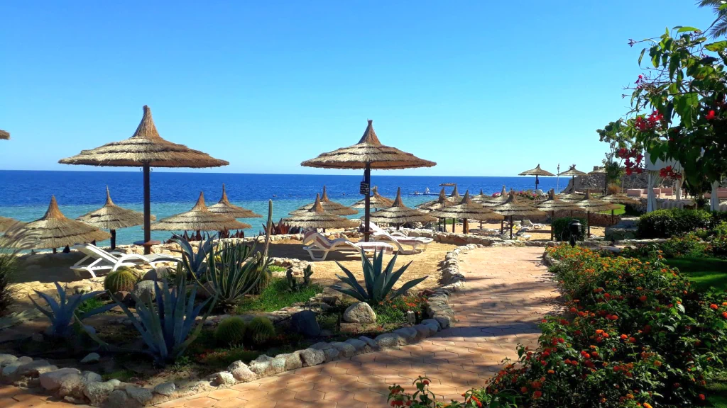 الفندق الباتروس رويال جراند - شرم الشيخ